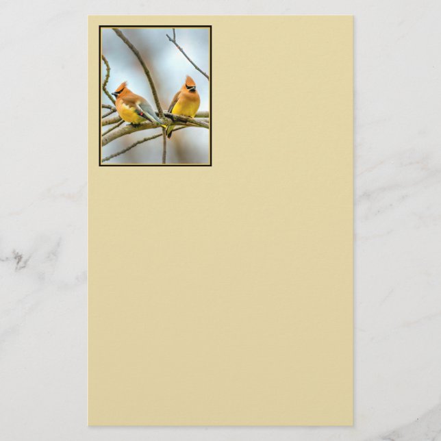 Cedar Waxwing - Original Photograph Stationery (Front)