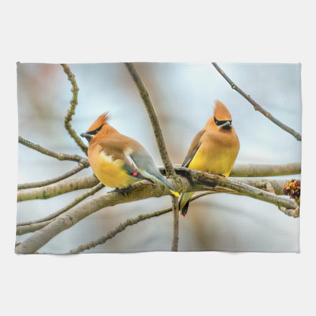 Cedar Waxwing - Original Photograph Tea Towel (Horizontal)
