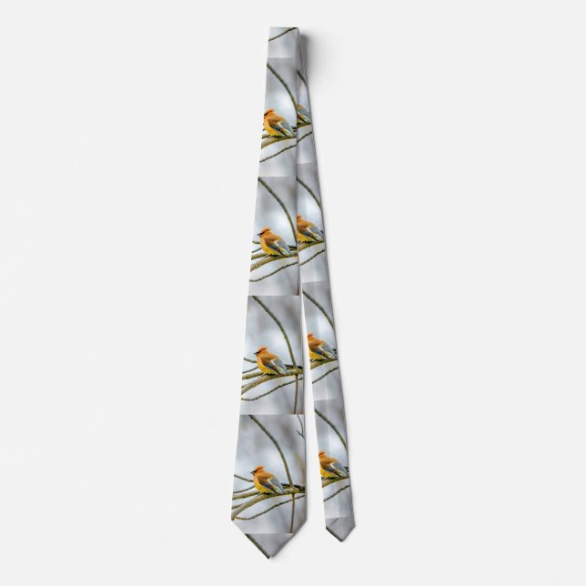 Cedar Waxwing - Original Photograph Tie (Front)