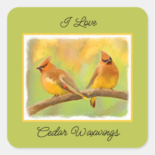 Cedar Waxwing Painting - Cute Original Dog Art Square Sticker