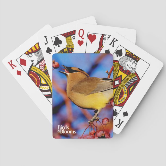 Cedar Waxwing Playing Cards (Back)