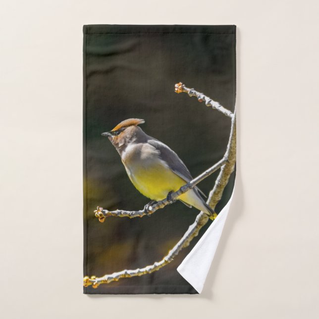 Cedar Waxwing Songbird Original Wild Bird Photo Bath Towel Set (Hand Towel)