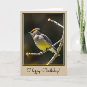 Cedar Waxwing Songbird Original Wild Bird Photo Card