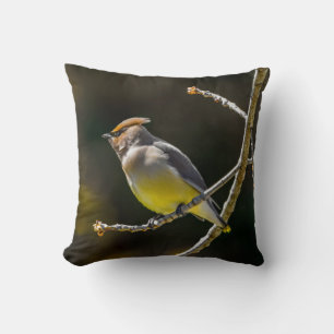 Cedar Waxwing Songbird Original Wild Bird Photo Cushion