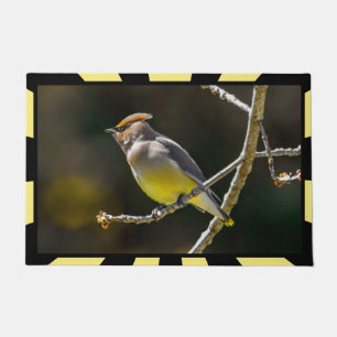 Cedar Waxwing Songbird Original Wild Bird Photo Doormat