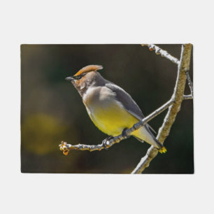 Cedar Waxwing Songbird Original Wild Bird Photo Doormat