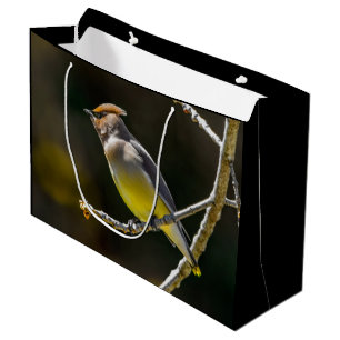 Cedar Waxwing Songbird Original Wild Bird Photo Large Gift Bag