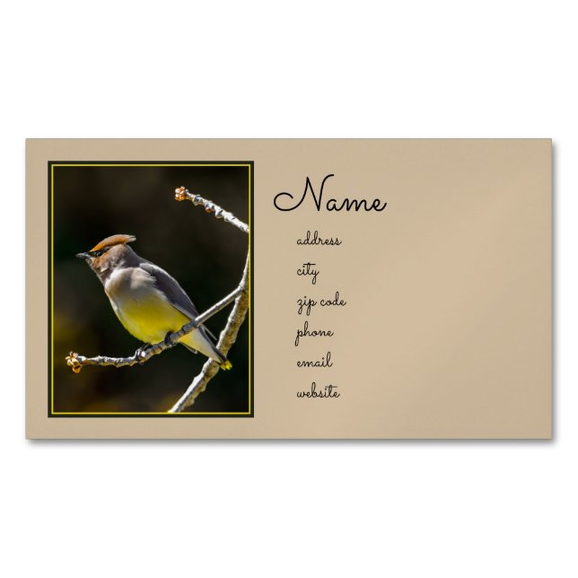 Cedar Waxwing Songbird Original Wild Bird Photo Magnetic Business Card (Front)