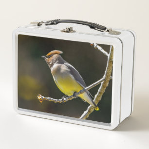 Cedar Waxwing Songbird Original Wild Bird Photo Metal Lunch Box