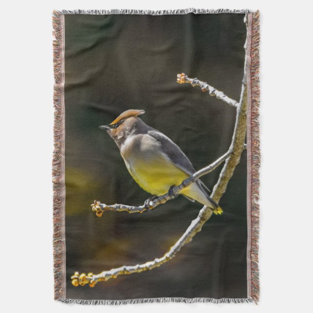 Cedar Waxwing Songbird Original Wild Bird Photo Throw Blanket (Front Vertical)