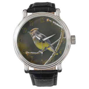 Cedar Waxwing Songbird Original Wild Bird Photo Watch