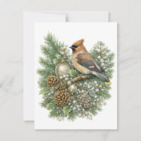Cedar Waxwing Winter Songbirds Collection
