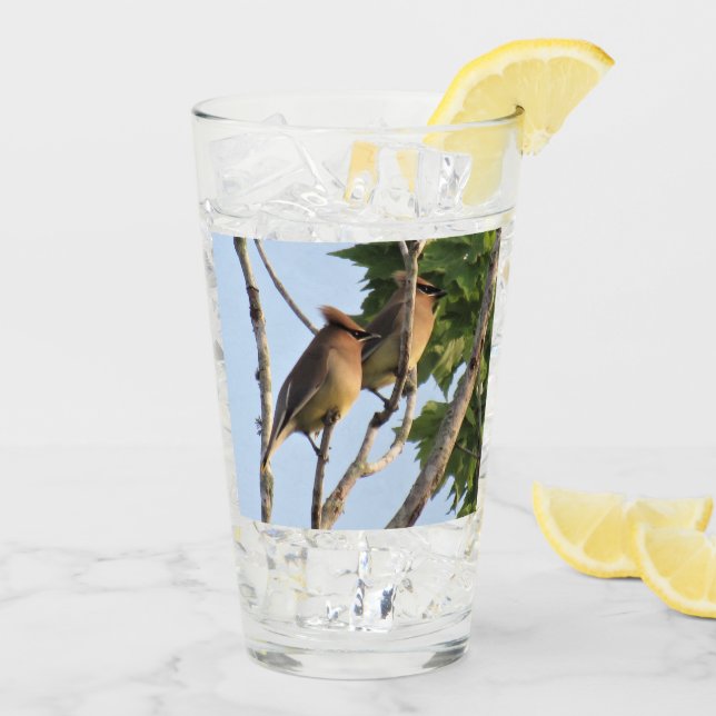 Cedar Waxwings - Backyard Bird Series -  Glass (Back Ice)