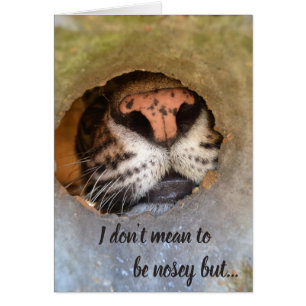 Cedarhill Animal Sanctuary Card