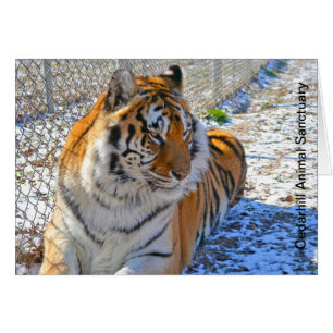 Cedarhill Animal Sanctuary Card