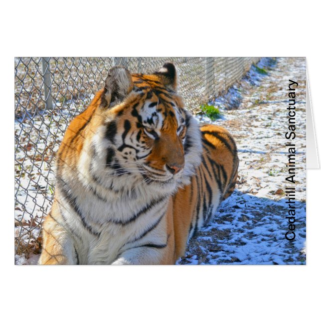 Cedarhill Animal Sanctuary Card (Front Horizontal)