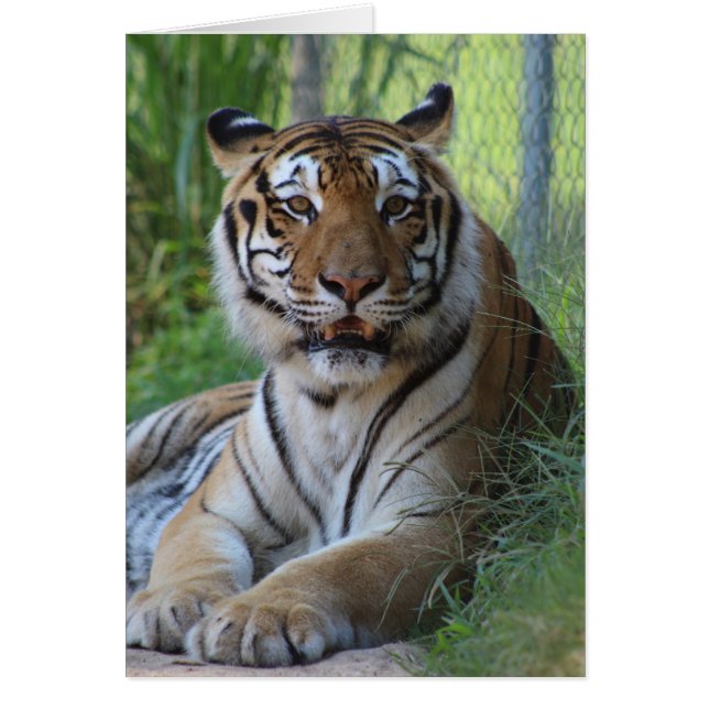 Cedarhill Animal Sanctuary Card (Front)