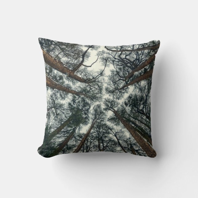 Cedars Forest Natural Lebanon Background Cushion (Front)