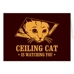 Ceiling Cat is Watching You