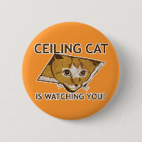Ceiling Cat is watching you!
