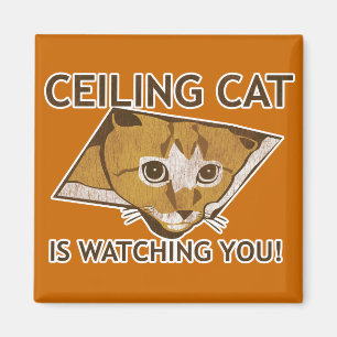 Ceiling Cat is watching you! Magnet