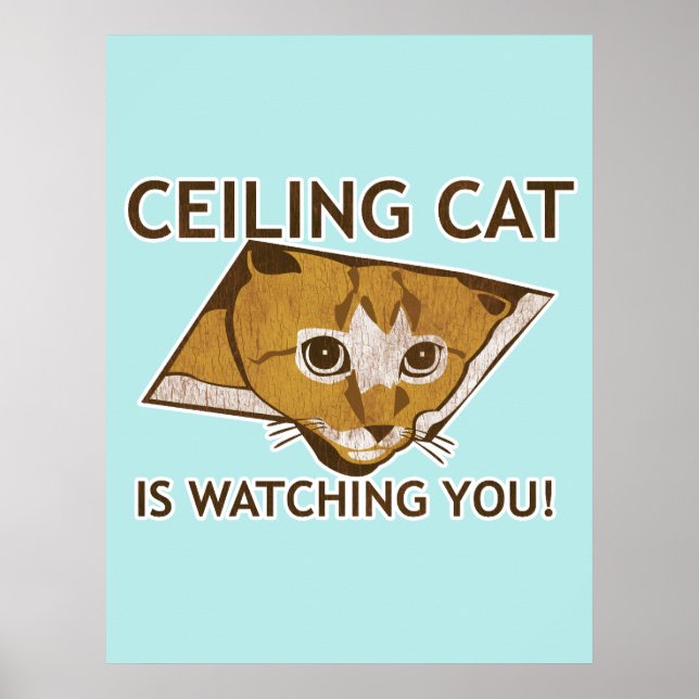 Ceiling Cat Poster (Front)