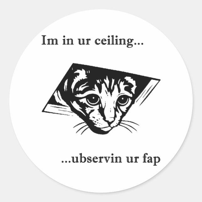 Ceiling Cat ubservin u... Classic Round Sticker (Front)