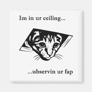 Ceiling Cat ubservin u... Magnet