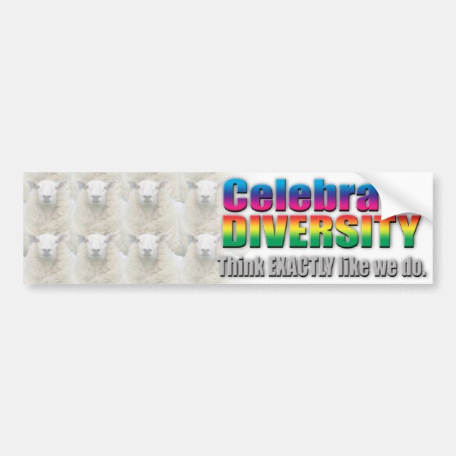 Celebrate diversity sticker (Front)