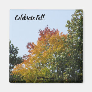 Celebrate Fall Rainbow Tree Magnet