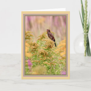 Celebrate gal-birds: Female-Red-wing black bird: Card