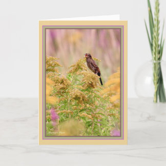 Celebrate gal-birds: Female-Red-wing black bird: Card