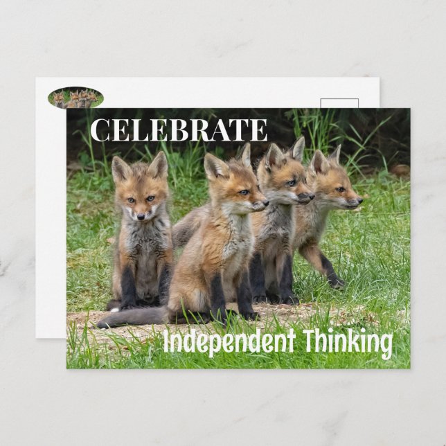 Celebrate Independent Thinking Foxes Postcard (Front/Back)