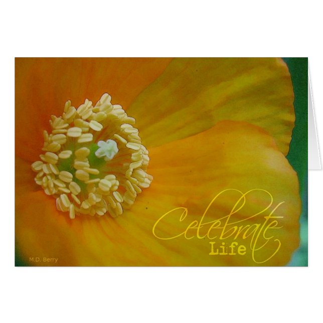 Celebrate Life (Front Horizontal)