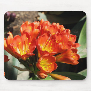 Celebrate Mouse Pad
