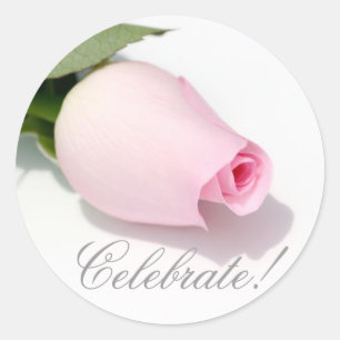 Celebrate! Pink Rose Sticker