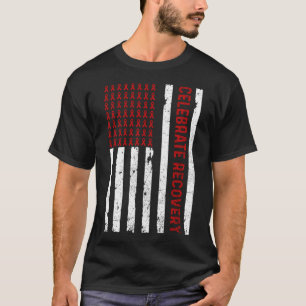 Celebrate Recovery Alcoholics AA Narcotics NA T-Shirt
