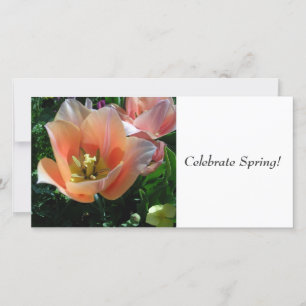 Celebrate Spring!