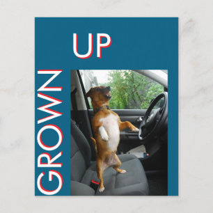 Celebrate turning 18 in style with this sleek birt flyer