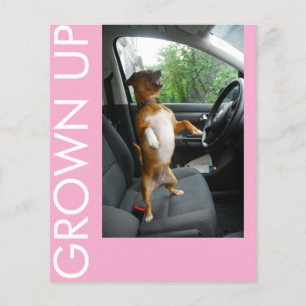 Celebrate turning 18 in style with this sleek birt flyer