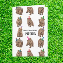 Celebrate with a wildly fun wombat party