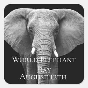 Celebrate World Elephant Day: Majestic Design  Square Sticker