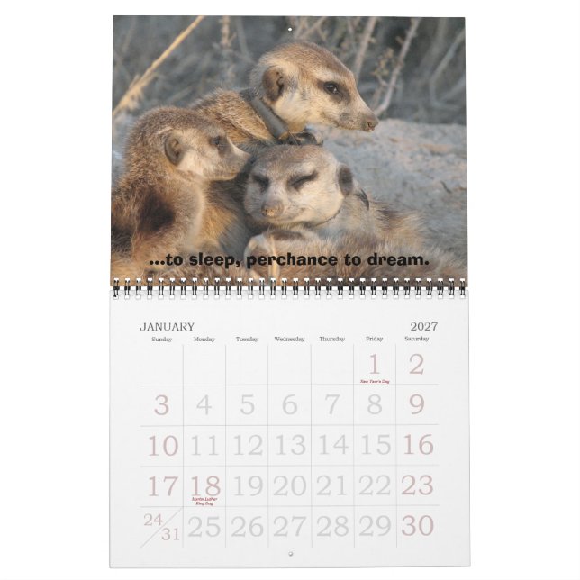 Celebrate Zaphod - Calendar (Jan 2027)