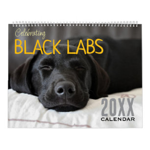Celebrating Black Labs Labrador Dog Calendar 2026 