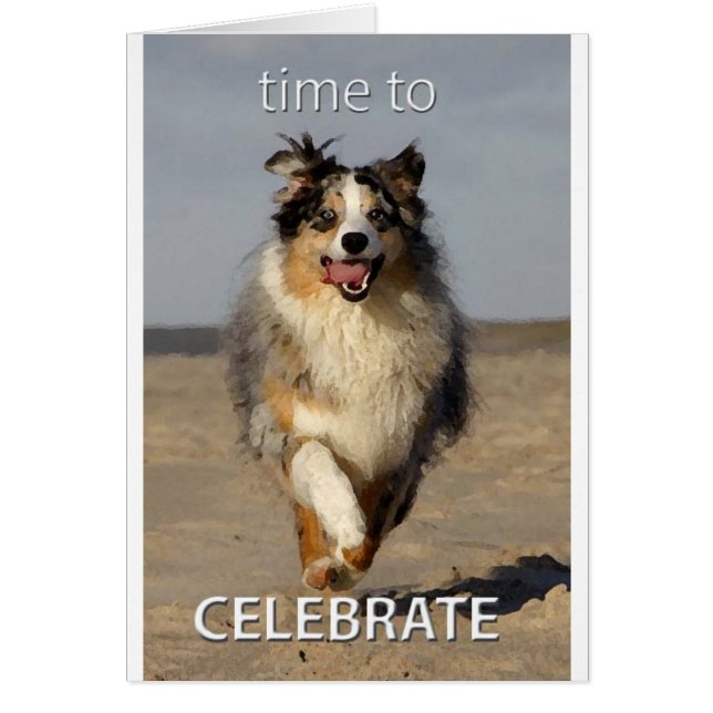 Celebration Card with Australian Shepherd (Front)