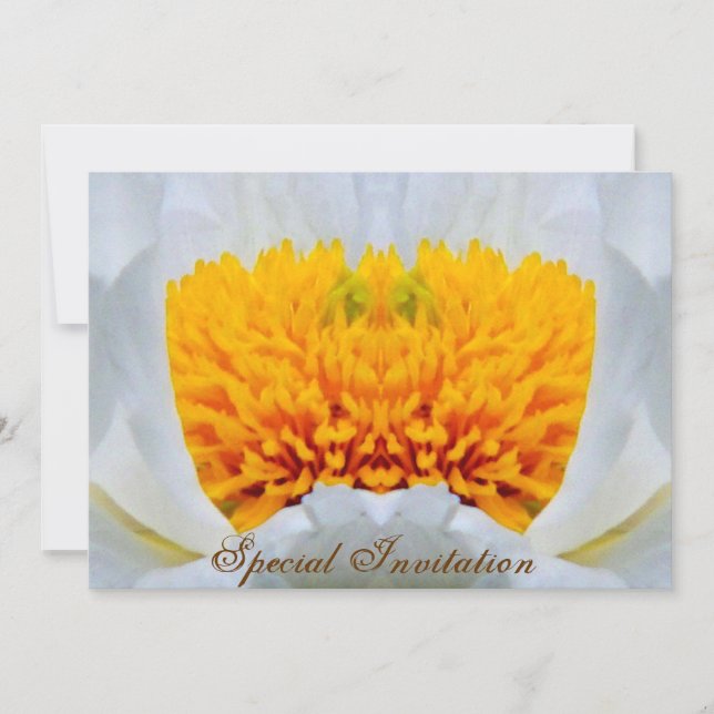 Celebration_ Invitation (Front)