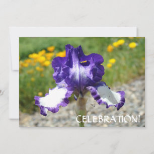 CELEBRATION Invitations IRIS FLOWERS Cards Parties
