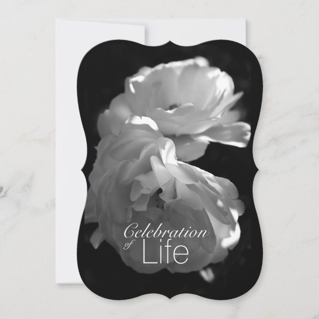 Celebration of Life 3 White Rose Memorial Service Invitation (Front)