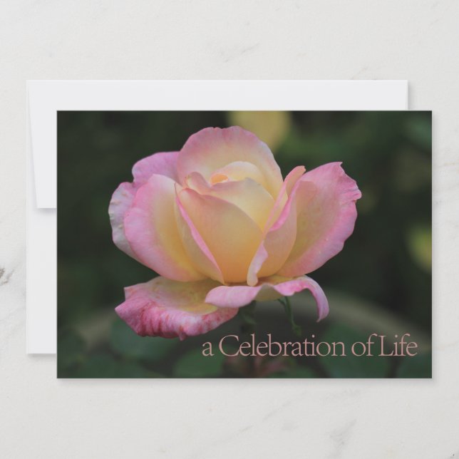 Celebration of Life Memorial Service Invitation (Front)