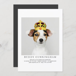Celebration of Life Simple Elegant Pet Photo Invitation